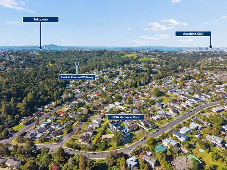 163A Verbena Road Birkdale_12