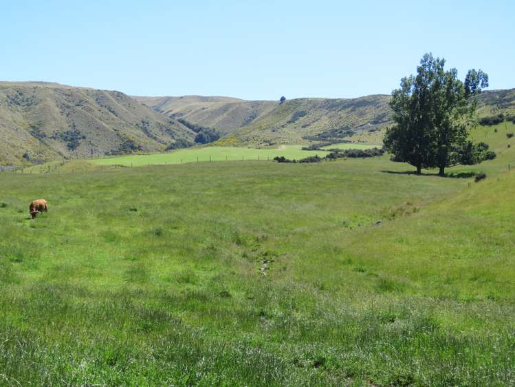 2131 Hakatere Potts Road Mesopotamia_18