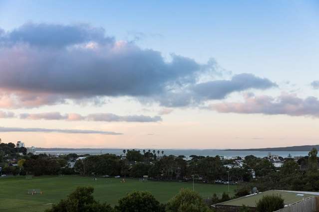29 Allum Street Kohimarama_1