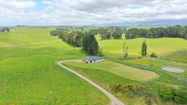 236 Tower Street Ormondville_24