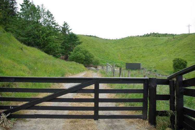 219 Forest Road Oruanui_13