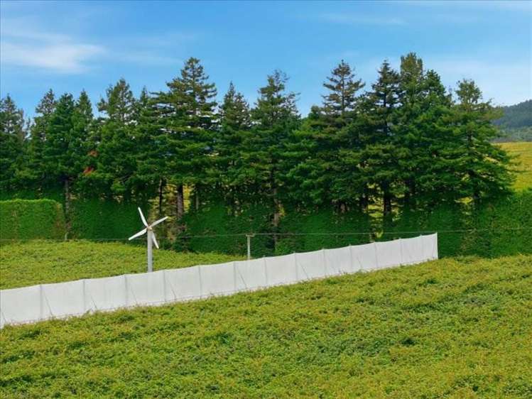 1399A No. 3 Road Te Puke_5