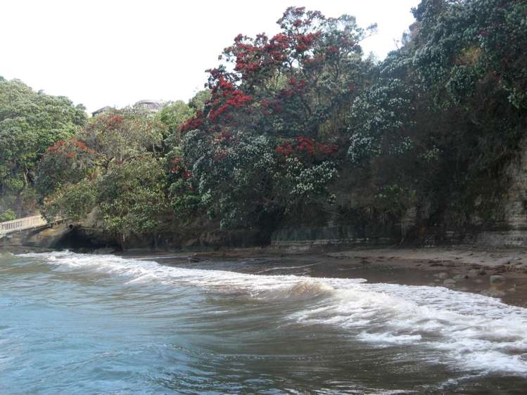 6b Hurdlow Place Manly_10