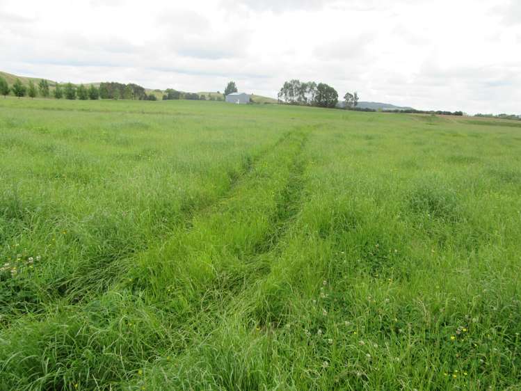 359 Mangatarata Road Hawkes Bay_6