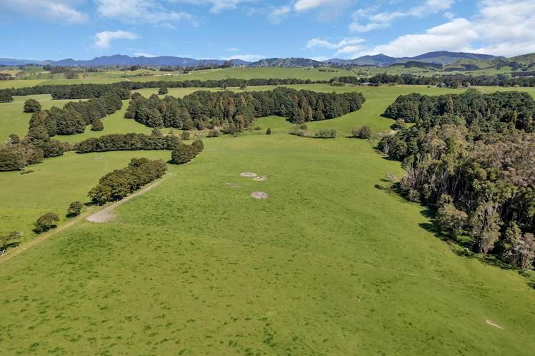 Knight Road Ruatangata_7