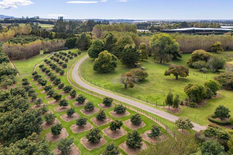 58 Rawaka Drive Katikati_29