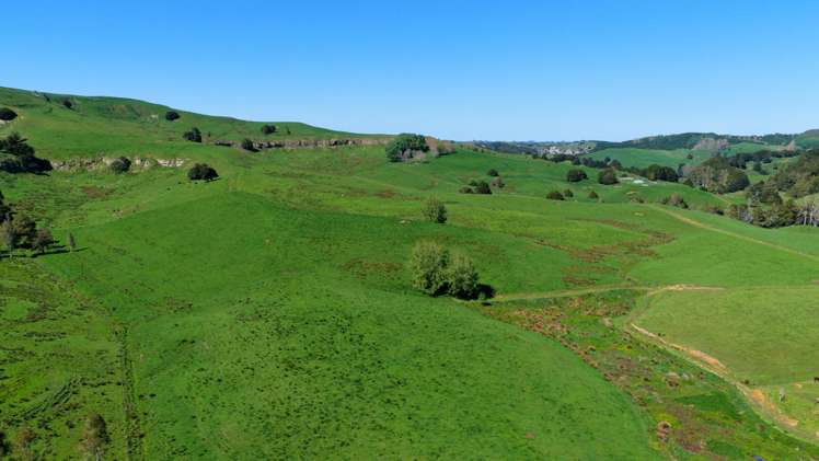 246 Allen and Eyre Road Onewhero_15