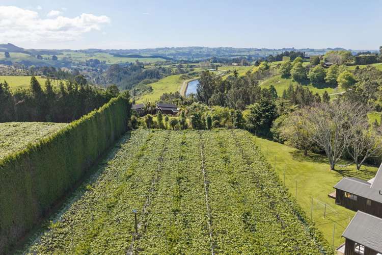 96D Jensen Road Omanawa_22