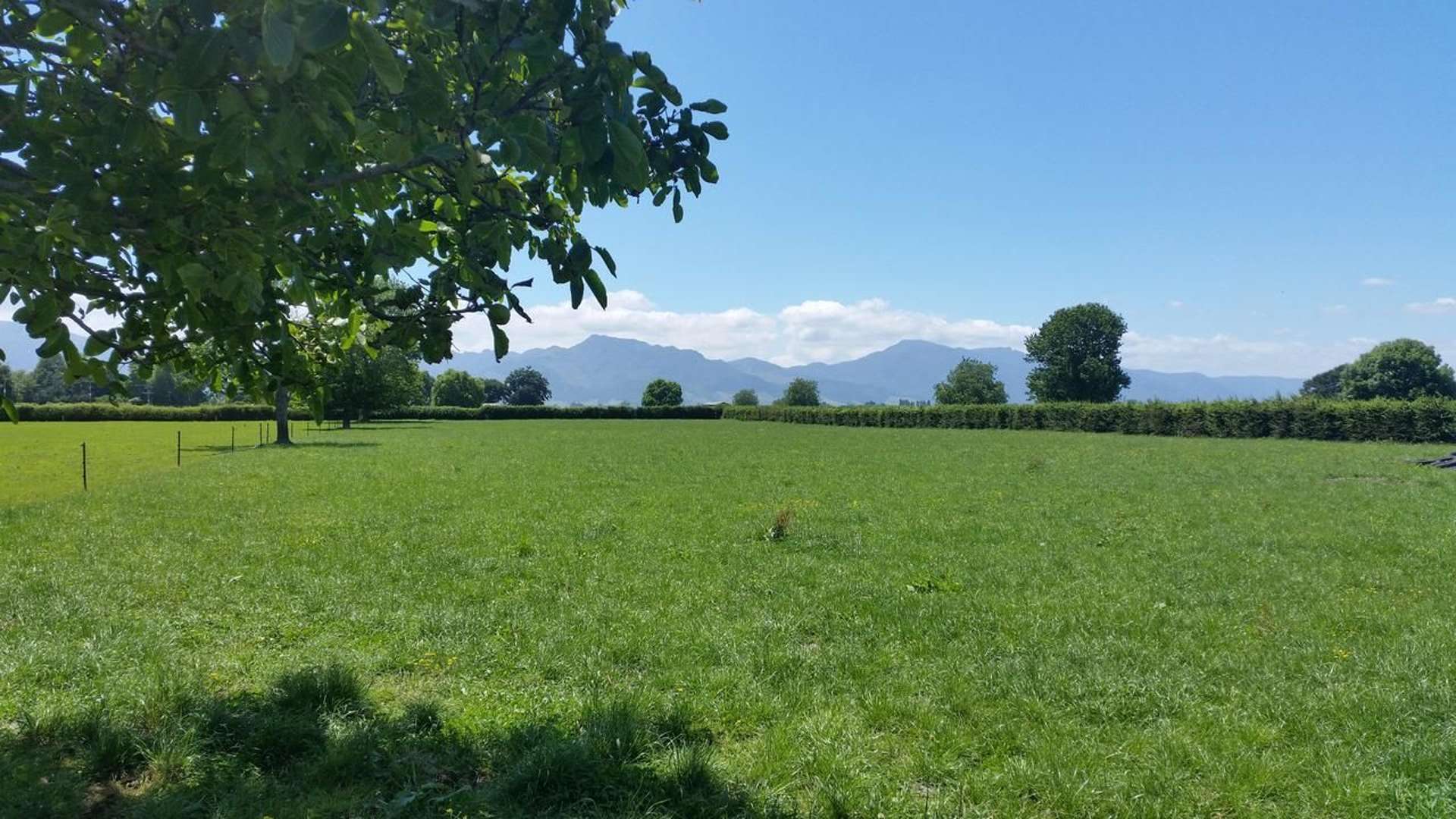 201 Steele Road Manawaru_0