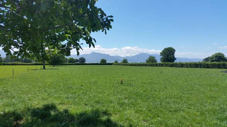 201 Steele Road Manawaru_0