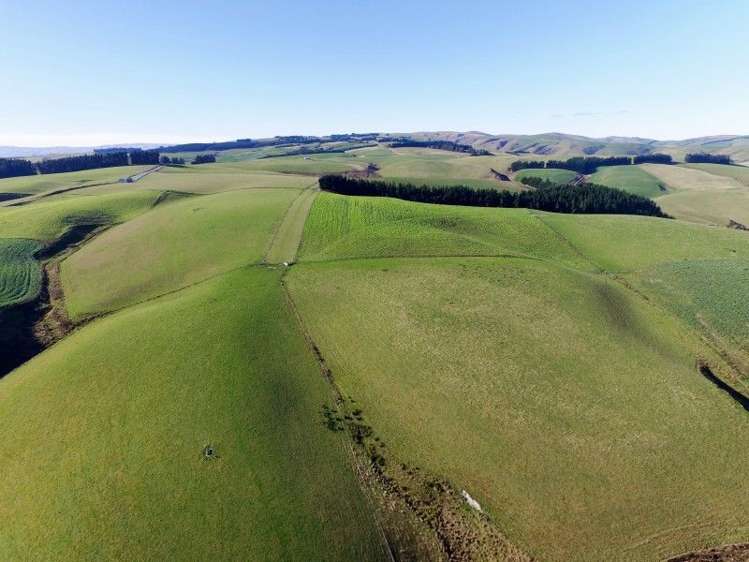 1763 Moa Flat Road West Otago Surrounds_4