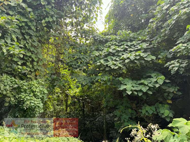 Address withheld Savusavu_23