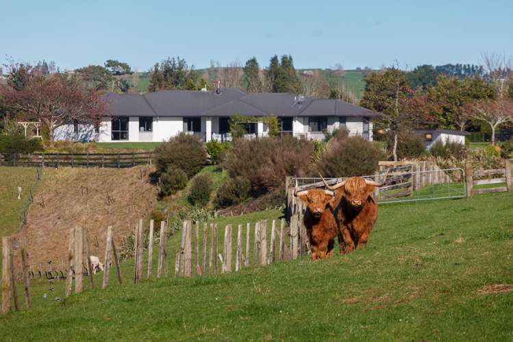 976 Old Te Aroha Road_0
