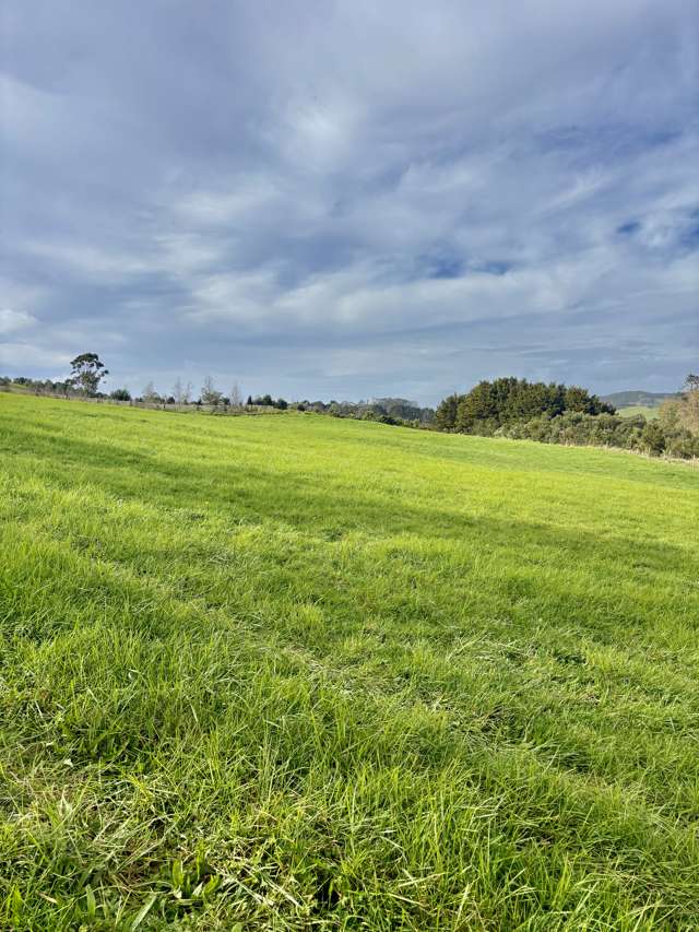 Your Own Sanctuary near Mangawhai Village
