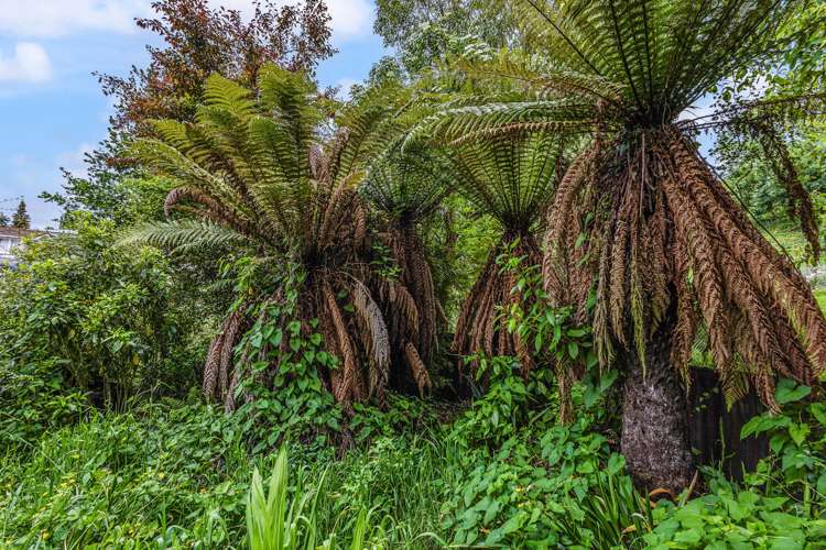 50 Kiwi Road Taihape_23