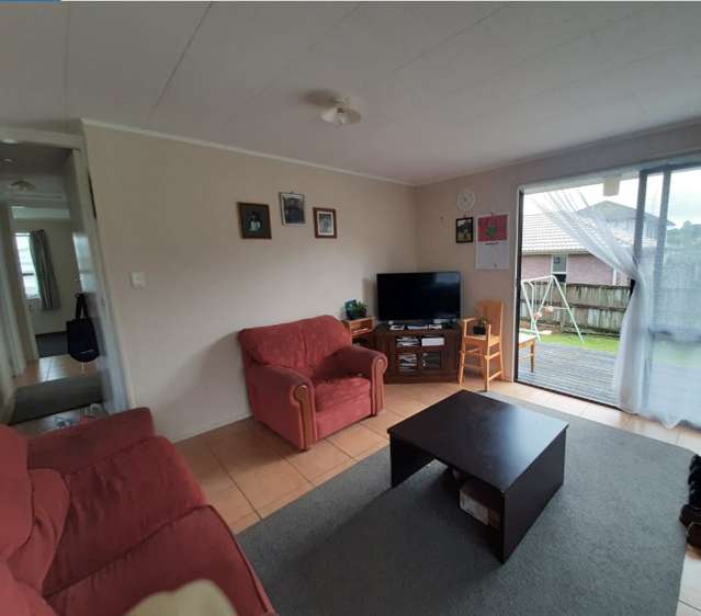 52 Gibson Road Tuakau_1