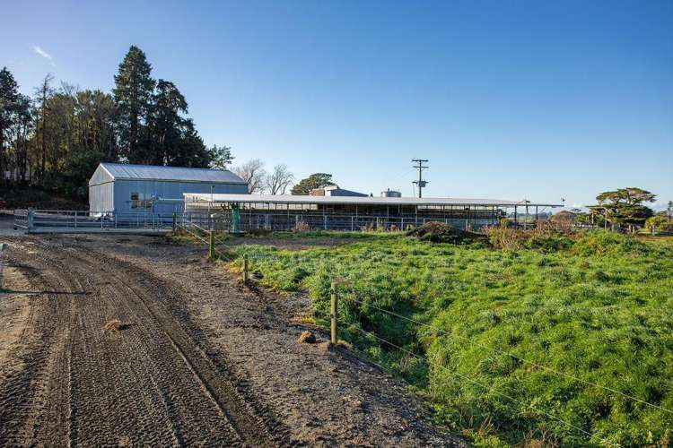 454 Parkville Road Eketahuna_16