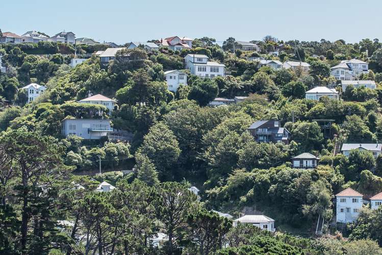 34 Orangi Kaupapa Road Northland_5