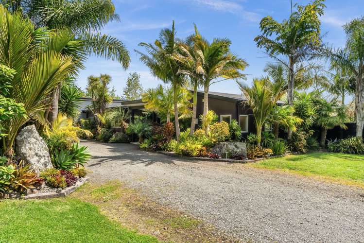 74 Waitangi Road Glenbervie_28