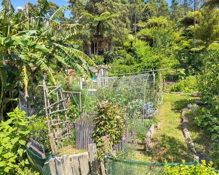 Ohiwa Loop Road Waiotahi_23