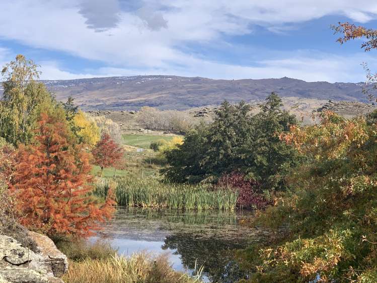 196 Chapman Road Alexandra_23