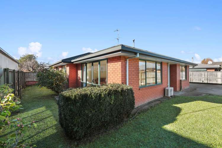 15A Bary Street Springlands_12