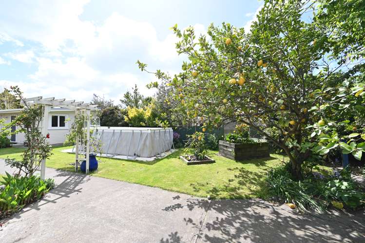 1 Thistle Street Napier South_18