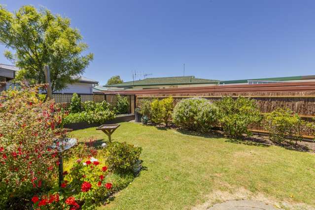 31a Elbourne Street Taradale_1