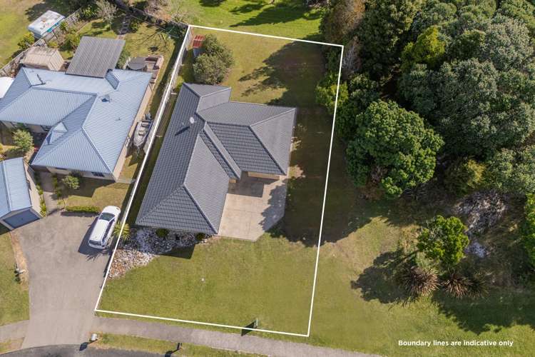 33 Hawk Hill Crescent Cooks Beach_1