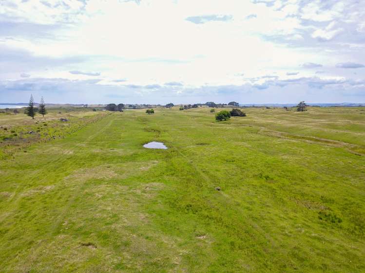 Takahe Street Masterton_21