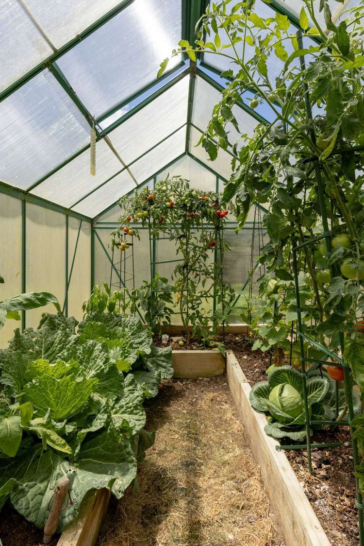 58B Wilson Rd South Paengaroa_26