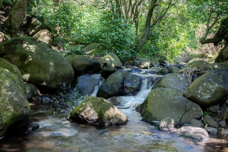 43 Aylmers Valley Road Akaroa_19