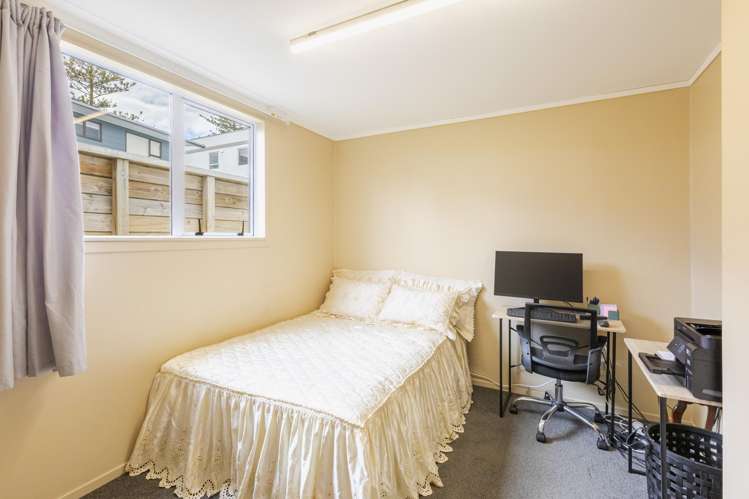 78 McGrath Street Napier South_23