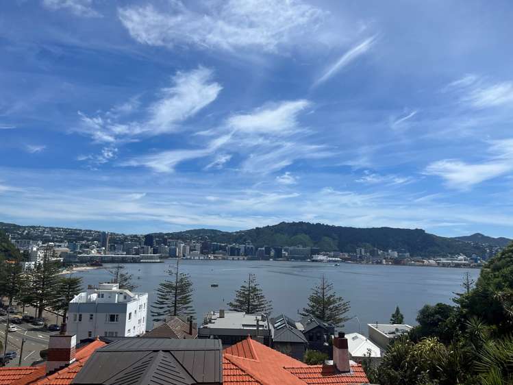 17 Grass Street Oriental Bay_21