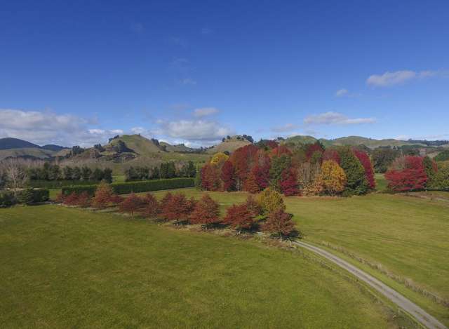 Prime Lifestyle Close to Lake Ohakuri