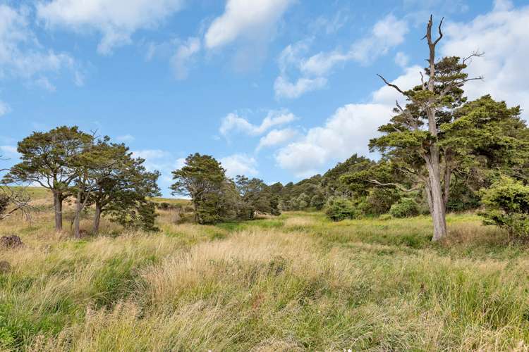 1754 Ararua Road Matakohe Kaipara Rural Property For Sale One Roof
