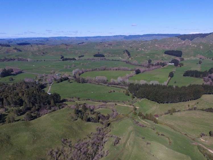 2286 State Highway 3 Mahoenui_7