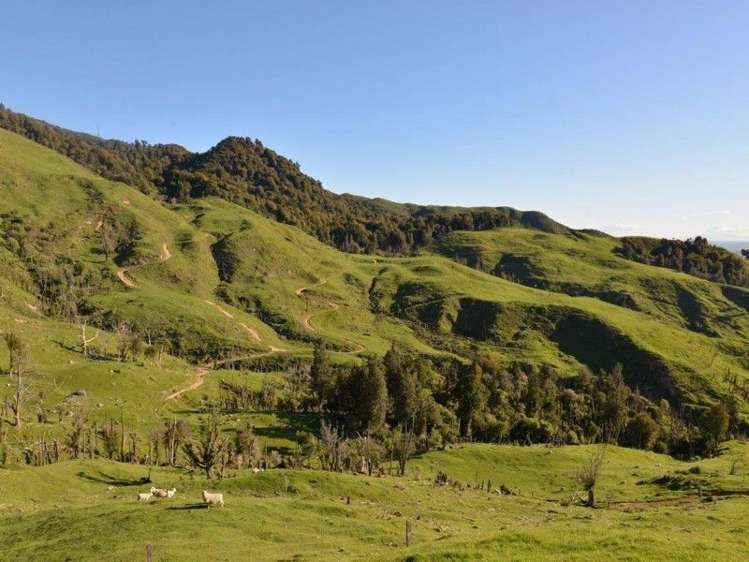 153 Hill Road Te Aroha_11