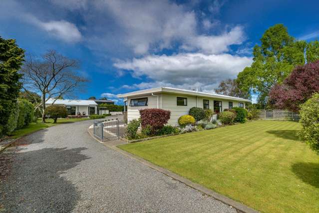 52 Napier Street Jervoistown_4