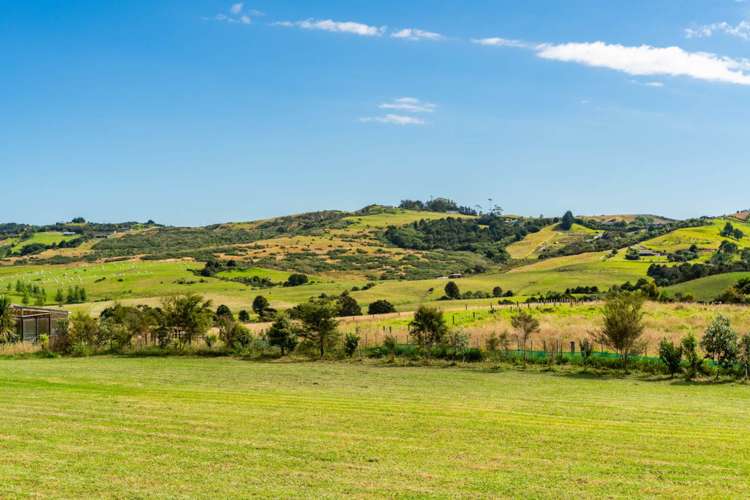 Lot 2 1124 Kaiwaka-Mangawhai Road Mangawhai_6