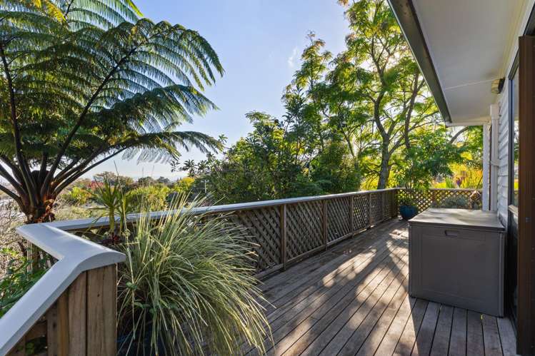 51 Darwin Road Outer Kaiti_9