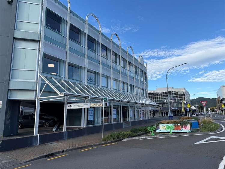 Ground Floor, 119 Queens Drive Lower Hutt_10