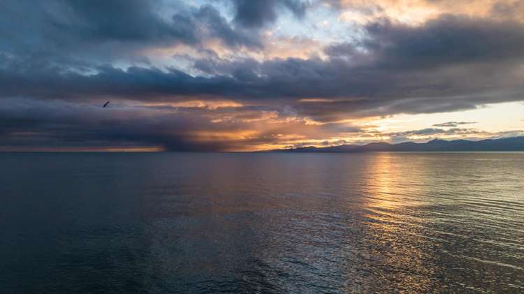 45 Deck Road Tasman_7