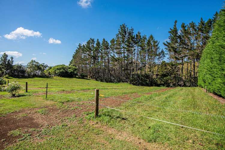 21 Going Road Matarau_33