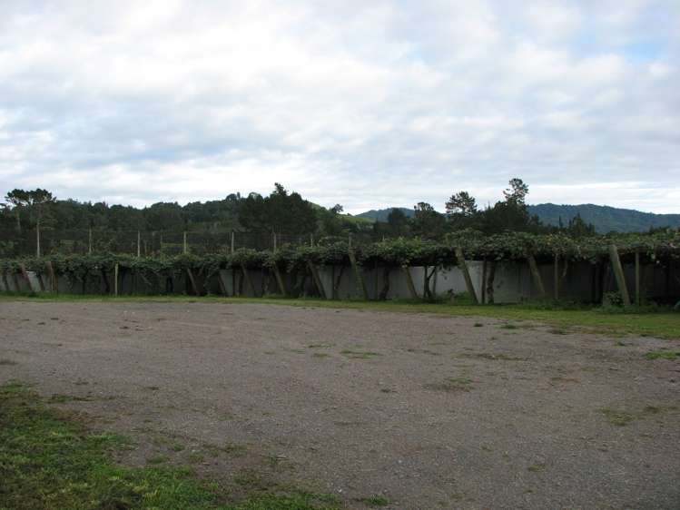 644 No 2 Road Te Puke_5