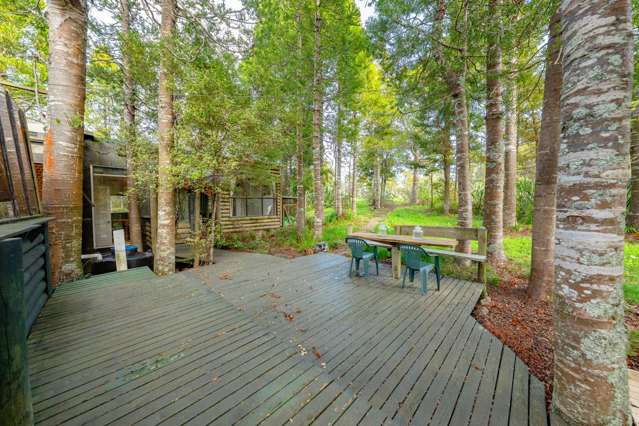 14 Te Aute Ridge Road Waitakere_4