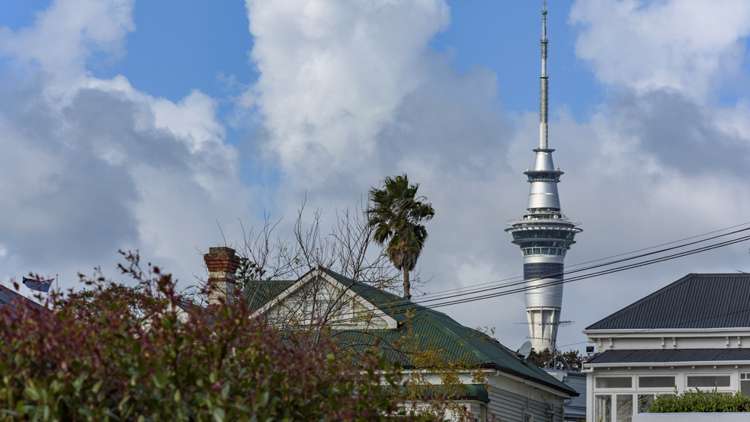 10 Yarborough Street Saint Marys Bay_7