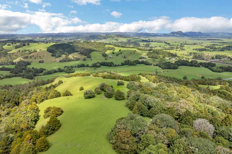 2006 State Highway 1 Hukerenui and Surrounds_20