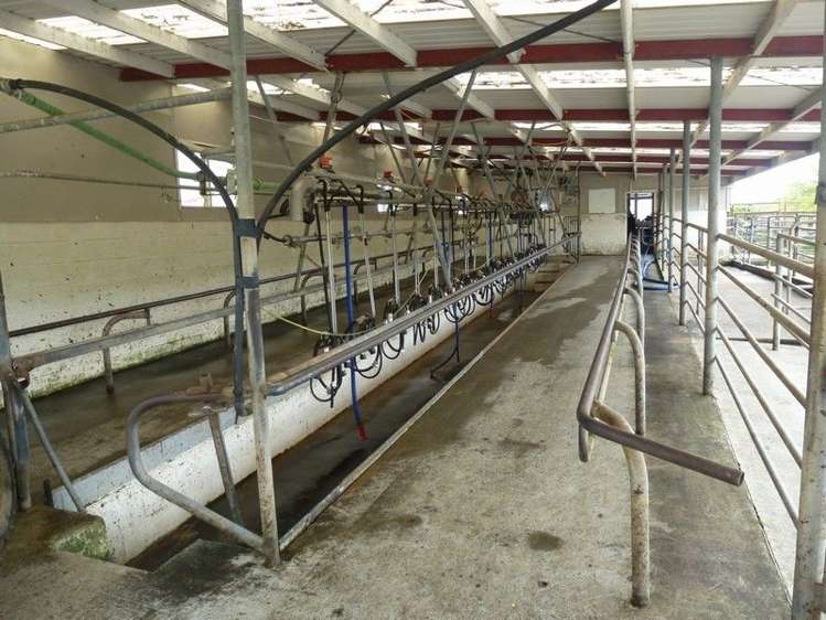 1265 Mountain Road Inglewood_5