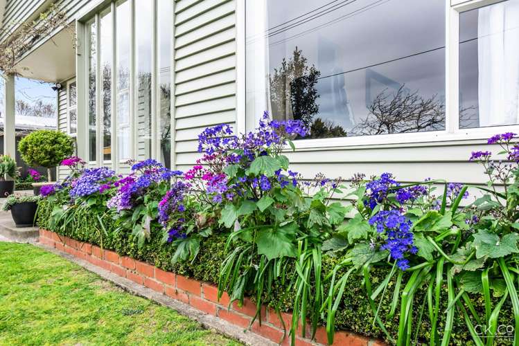 20 Anderson Grove Hutt Central_23